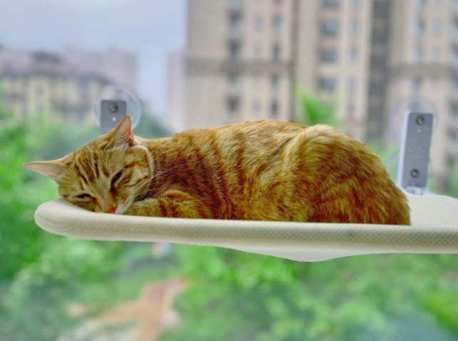 Пространство для жизни: где в Алматы купить комфортную 3-комнатную квартиру | kn.kz