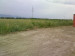 Продажа земельного участка, 130 сот, Кендала в Талгаре - фото 3