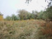 Продажа земельного участка, 5000 сот, Шелек п. в Алматинской области - фото 3