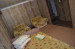 Аренда 1-комнатной квартиры посуточно, 34 м, Казахстан, дом 85 в Усть-Каменогорске - фото 9