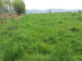Продажа земельного участка, 20 сот, Талгар п. в Талгаре - фото 6