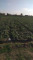 Продажа земельного участка, 23 сот, Жамбыла Жабаева в Акмолинской области - фото 2