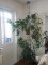 Продажа 4-комнатной квартиры, 61 м, Торайгырова, дом 42 в Павлодаре - фото 3