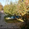 Продажа 6-комнатного дома, 265 м, Казахстан, дом 46 в Алматы - фото 12