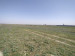 Продажа земельного участка, 1 га, Жармухамбет п. в Алматы - фото 3
