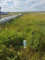 Продажа земельного участка, 100 сот, Лесная поляна в Астане - фото 3