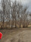 Продажа земельного участка, 100 м, Жагажай в Астане - фото 4
