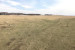 Продажа земельного участка, 30 сот, Жукей п. в Акмолинской области - фото 2