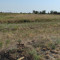 Продажа земельного участка, 4 га, Дамса ст. в Акмолинской области - фото 9