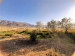 Продажа земельного участка, 8 га, с.Аксу, Жабагылы, 680 в Шымкенте - фото 7