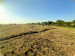 Продажа земельного участка, 8 га, с.Аксу, Жабагылы, 680 в Шымкенте - фото 14