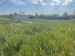 Продажа земельного участка, 20 м, Спортивная (Бишкуль) в Петропавловске - фото 6
