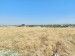 Продажа земельного участка, 2 га, Карасу п. в Шымкенте - фото 12