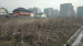 Продажа земельного участка, 20 сот, Наурызбаева в Алматы - фото 2