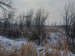 Продажа земельного участка, 36 сот, Кокозек п. в Алматинской области - фото 3