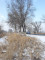 Продажа земельного участка, 36 сот, Кокозек п. в Алматинской области - фото 4