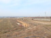 Продажа земельного участка, 6 га, Кайнар Булак в Шымкенте - фото 2