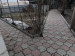 Продажа 4-комнатного дома, 65 м, Сельская в Алматы - фото 4