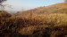 Продажа земельного участка, 1.5 га, МТФ №3 р-н в Алматинской области - фото 4