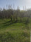 Продажа земельного участка, 50 сот, Азат п. в Алматинской области - фото 3