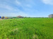 Продажа земельного участка, 40 сот, Асар мкр-н в Шымкенте - фото 2