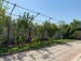 Продажа 5-комнатного дома, 301 м, Байдыбек Баба в Алматы - фото 37