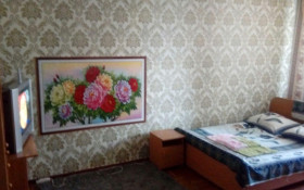 Аренда 1-комнатной квартиры посуточно, 30 м, Гагарина, дом 232 - Байкадамова