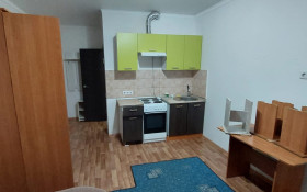 Аренда 1-комнатной квартиры, 22 м, Кошкарбаева, дом 68 - Кудайбердыулы