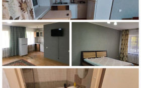 Аренда 1-комнатной квартиры посуточно, 32 м, Назарбаева, дом 35