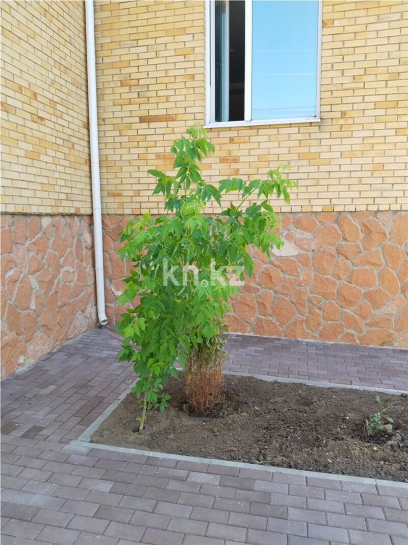 Продажа 7-комнатного дома, 470 м² - Продажа домов, коттеджей в Караганде - страница 4 фото 4 из 15