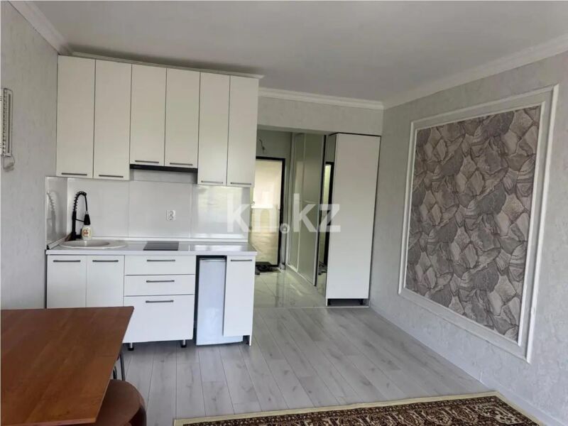 Продажа 1-комнатной квартиры, 30.5 м² - Продажа однокомнатных квартир от собственников в Казахстане - страница 6 фото 2 из 4