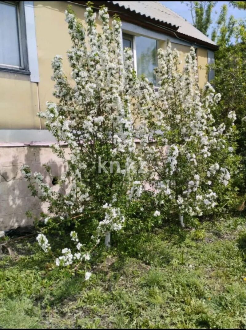 Продажа 3-комнатного дома, 100 м² - Продажа домов, коттеджей в Астане фото 5 из 6