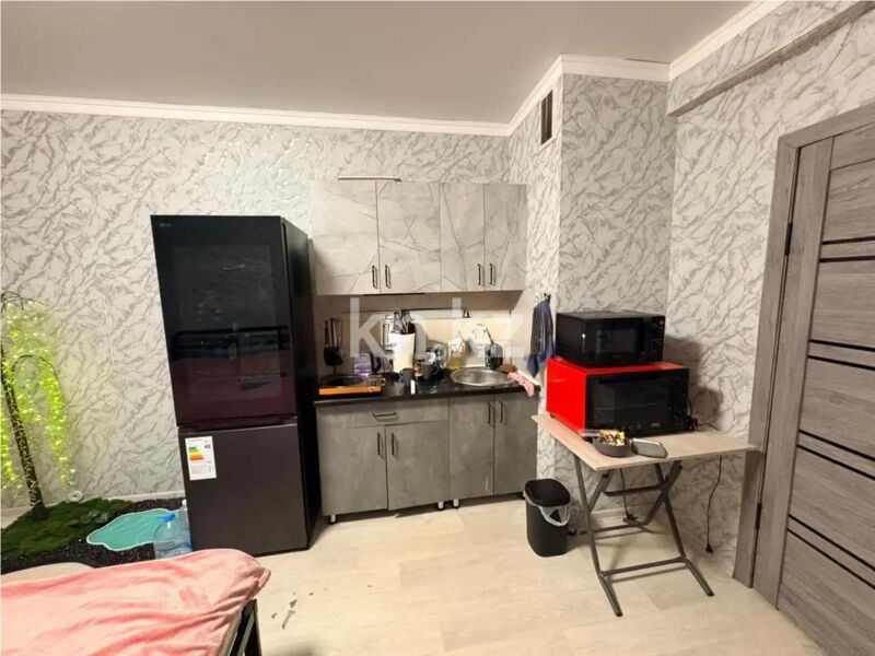 Продажа 1-комнатной квартиры, 27 м² - Продажа однокомнатных квартир в Турксибском р-не Алматы - страница 13 фото 2 из 3
