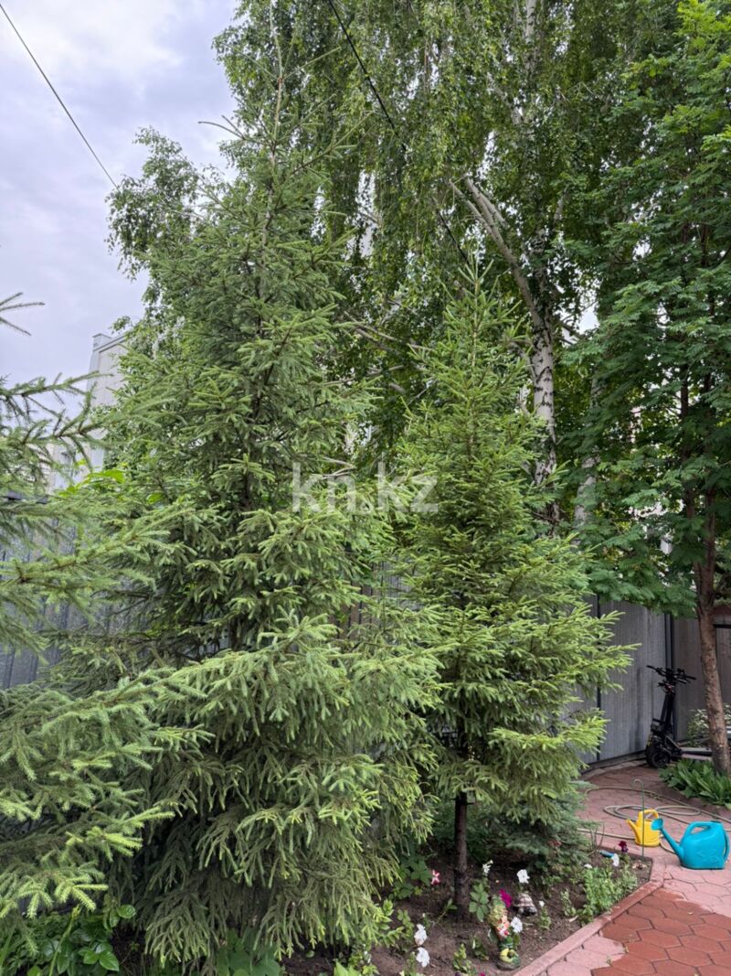 Продажа 4-комнатного дома, 248.7 м² - Продажа четырехкомнатных домов, коттеджей в Астане фото 17 из 40