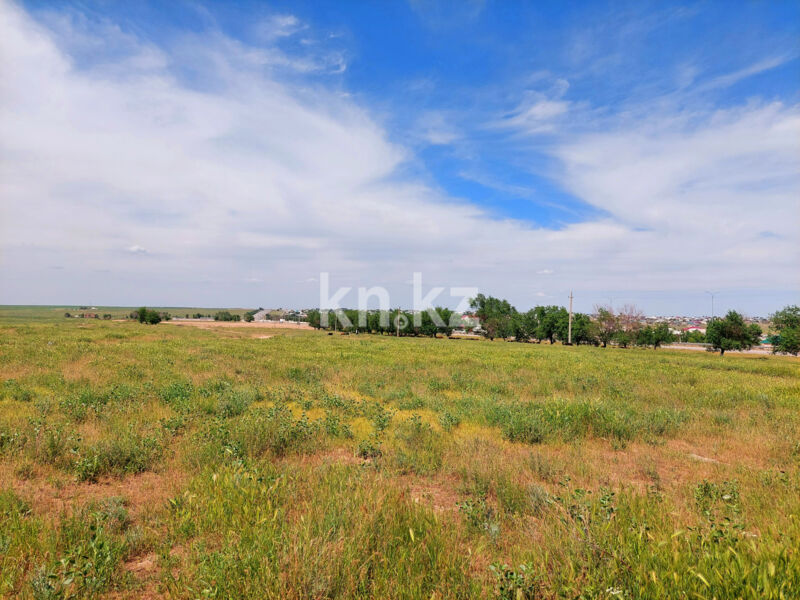 Продажа участка, 3 га - Продажа земельных участков в Казахстане - страница 3 фото 3 из 27