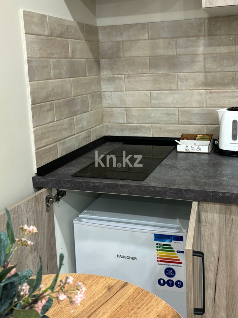 Аренда 1-комнатной квартиры посуточно, 27 м² - Аренда квартир посуточно в Казахстане фото 7 из 20