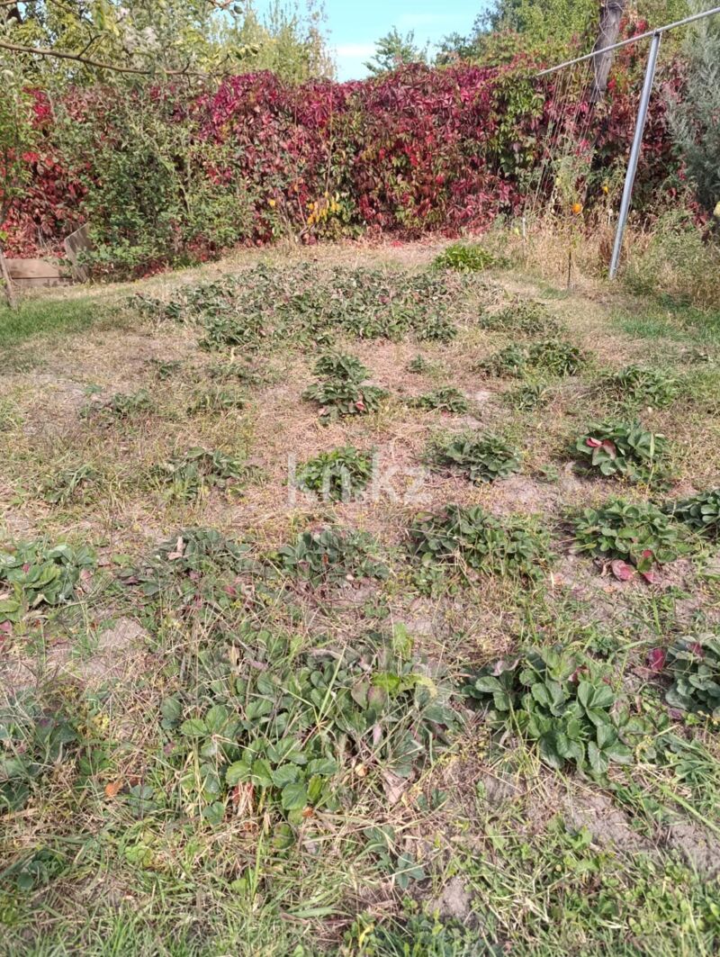 Продажа дачи, 6 сот. - Продажа дач в Казахстане фото 11 из 15