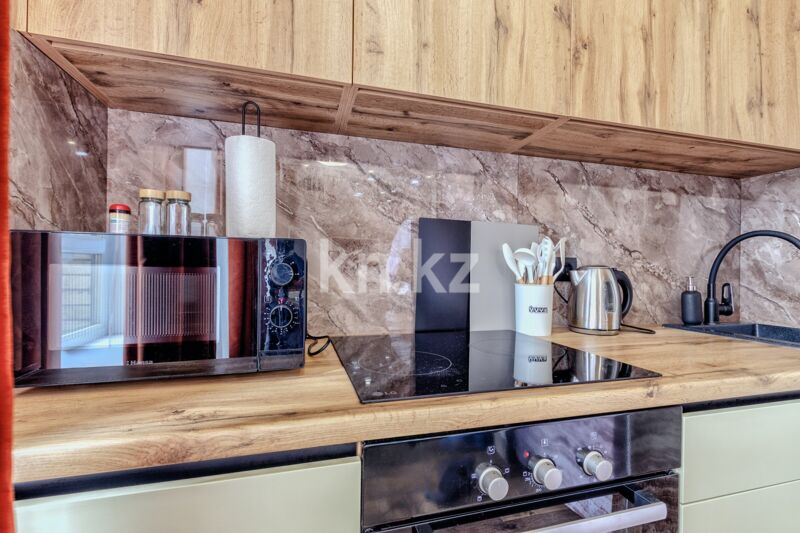 Аренда 1-комнатной квартиры посуточно, 45 м² - Аренда квартир посуточно в Казахстане - страница 2 фото 14 из 21
