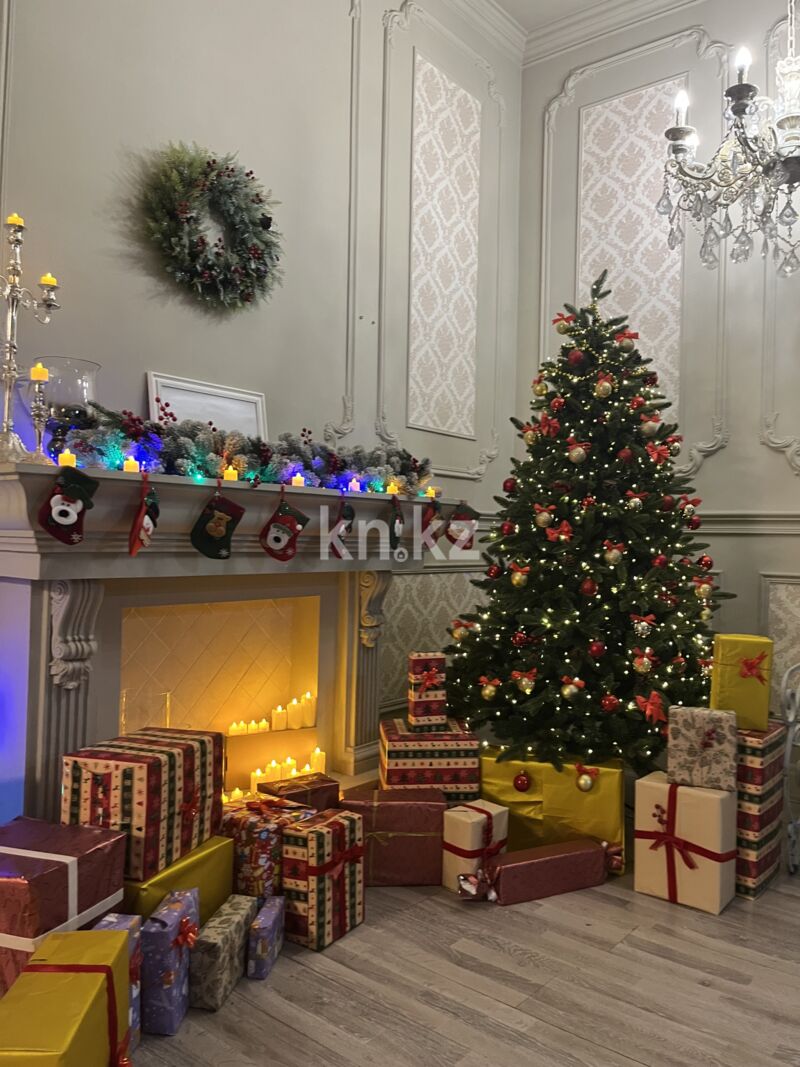 Продажа бизнеса, 160 м² - Продажа действующего бизнеса в Алматы с фото фото 3 из 5