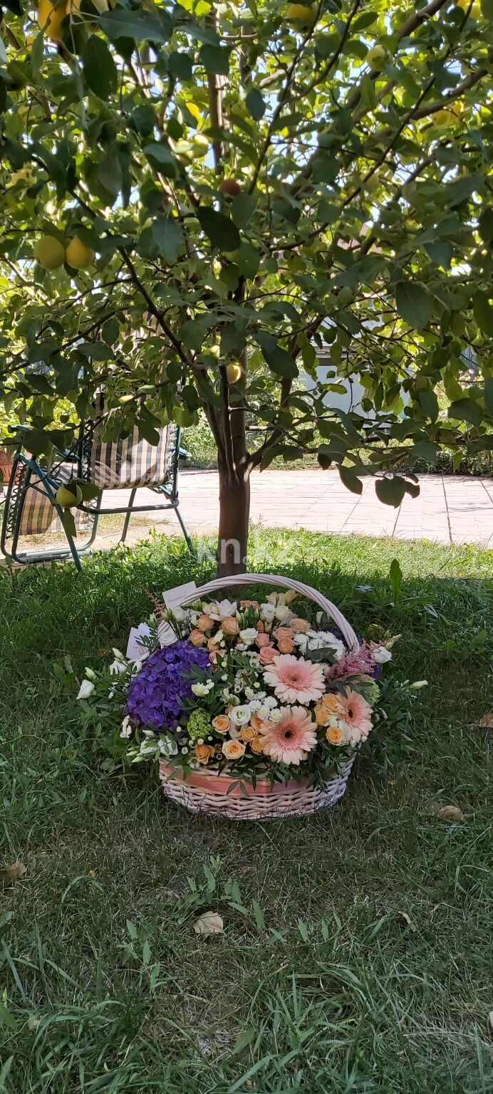 Продажа 5-комнатного дома, 385 м² - Продажа домов, коттеджей в Караганде фото 3 из 10