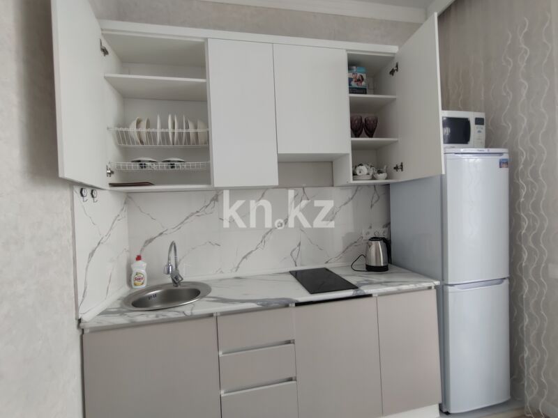 Аренда 1-комнатной квартиры посуточно, 42 м² - Аренда недвижимости в Астане - страница 8 фото 16 из 17