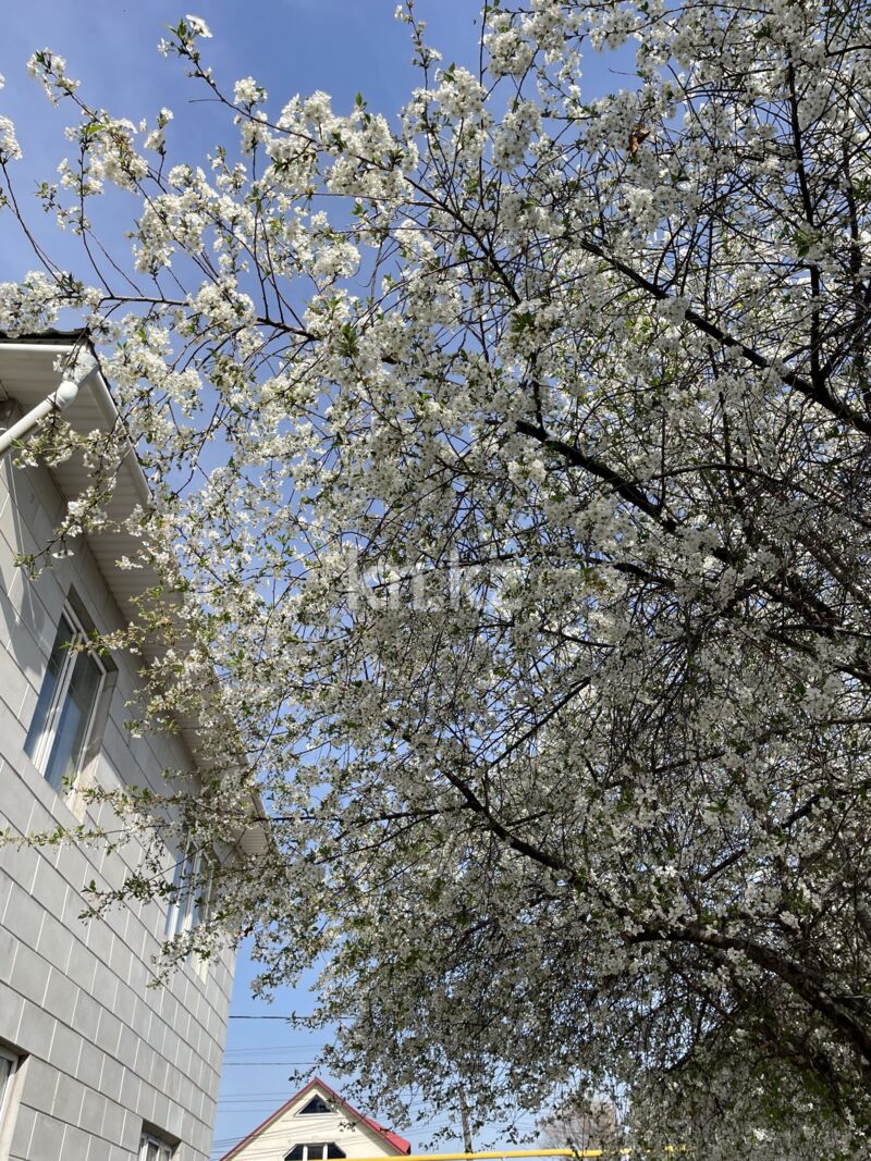 Продажа 5-комнатного дома, 180 м² - Недвижимость в Казахстане - страница 34 фото 16 из 18