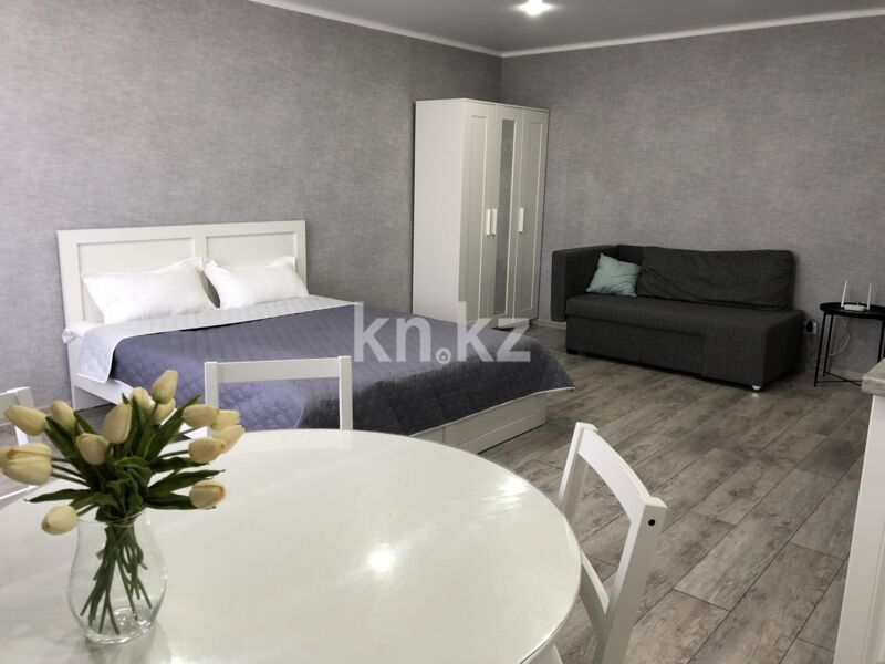 Аренда 1-комнатной квартиры посуточно, 1 м² - Аренда квартир посуточно в Казахстане фото 1 из 12