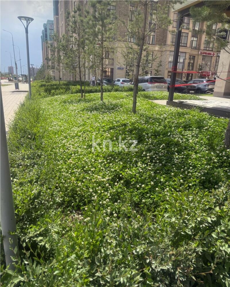 Продажа 2-комнатной квартиры, 70 м² - Продажа двухкомнатных квартир в кирпичном доме в Караганде - страница 32 фото 13 из 13