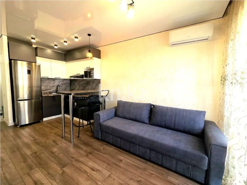 Продажа 1-комнатной квартиры, 29 м² - Продажа однокомнатных квартир в Турксибском р-не Алматы - страница 15 фото 1 из 3
