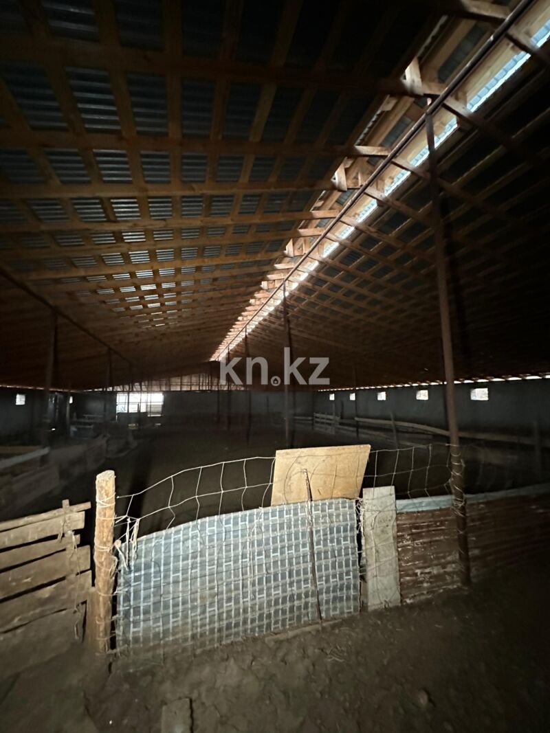 Продажа бизнеса, 1200 м² - Продажа действующего бизнеса в Казахстане - страница 3 фото 32 из 33