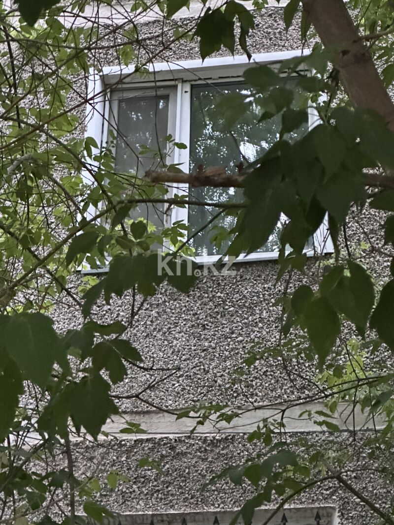 Продажа 2-комнатной квартиры, 48 м² - Продажа двухкомнатных квартир в Караганде - страница 7 фото 10 из 13