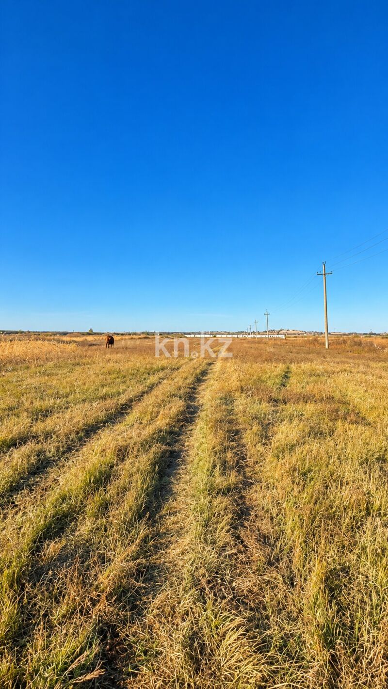 Продажа участка, 2 га - Продажа земельных участков в Балхаше фото 4 из 6
