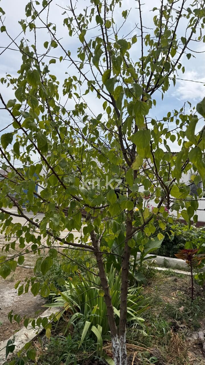 Продажа 4-комнатного дома, 150 м² - Недвижимость в Атырау фото 7 из 21