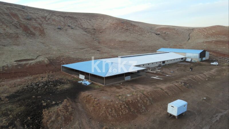 Продажа бизнеса, 1200 м² - Продажа действующего бизнеса в Казахстане - страница 3 фото 3 из 33
